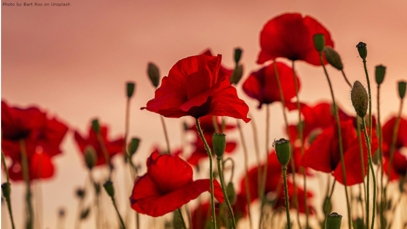 From surviving bombing to supplying bombers